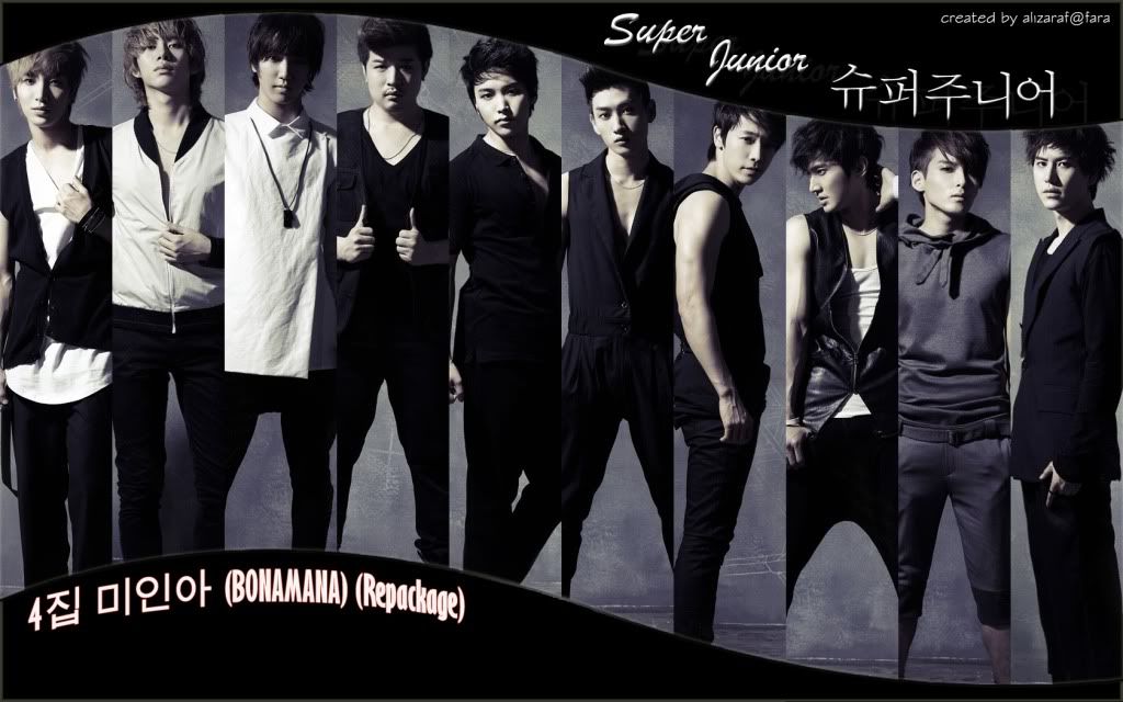 Suju wall 12