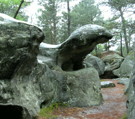 stage géobiologie Fontainebleau massif des 3 pignons : rochers zoomorphes et esprits de la nature