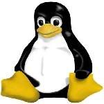 Linux Penguin Image