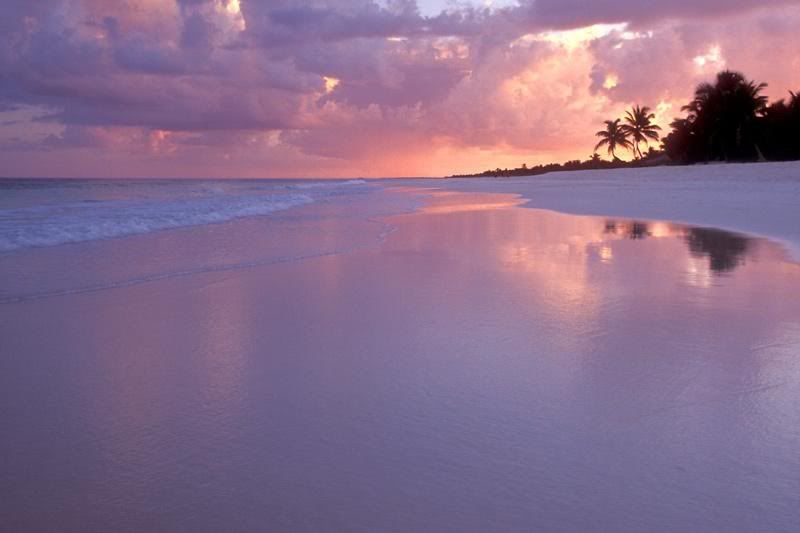 Cancun beach at sunset Image