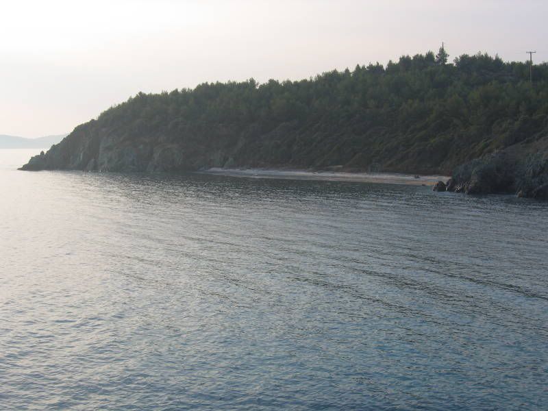 06050096qt.jpg