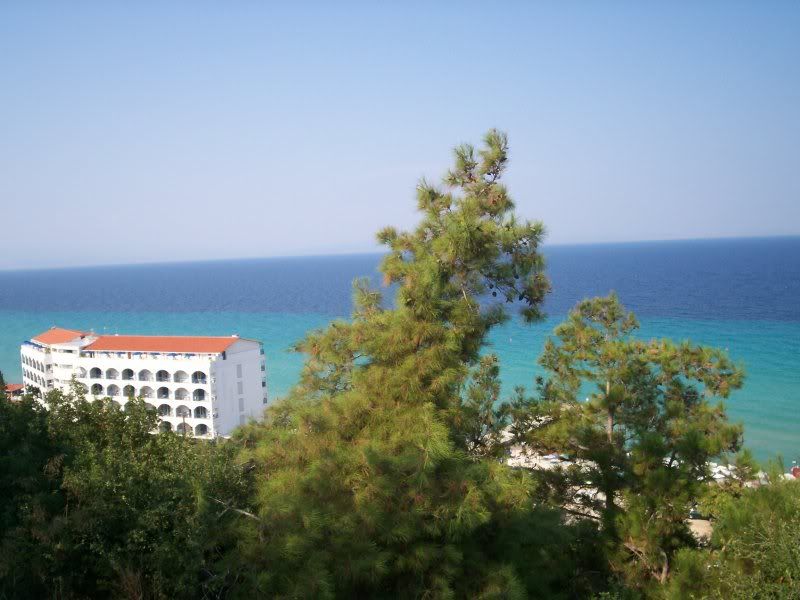 1000160dy5.jpg