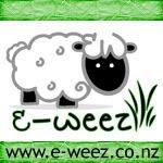 Visit the E-Weez website