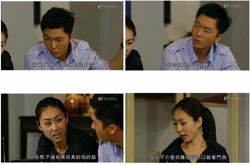 [资深粉丝]tvb《刑警2010》gun metal grey剧情帖,黄日华,苗侨伟,宣萱