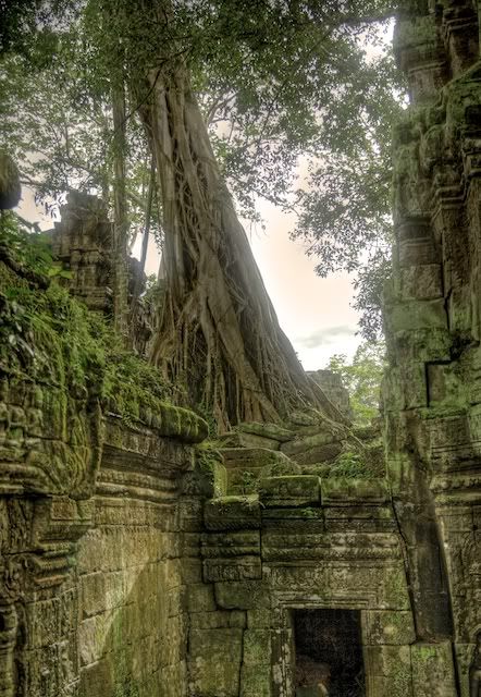 AngkorWat11.jpg
