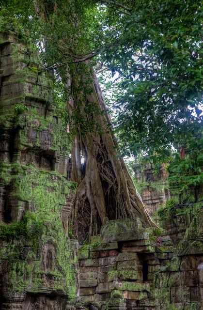 AngkorWat16.jpg