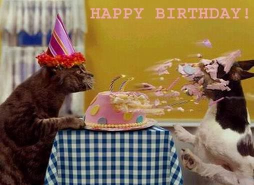 happy birthday cat dog