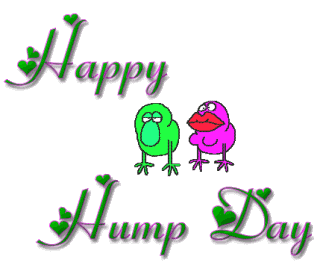 happy hump day