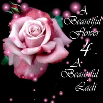 a beautiful flower 4 a beautiful ladi