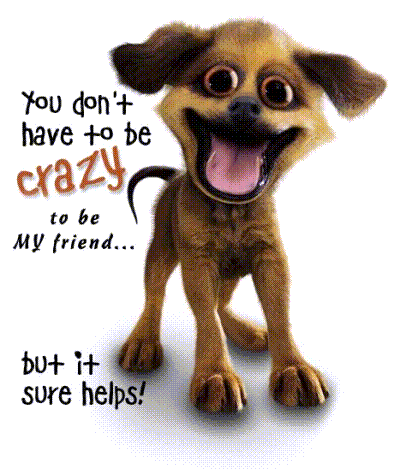 you don't have to be crazy to be my friend but it sure helps