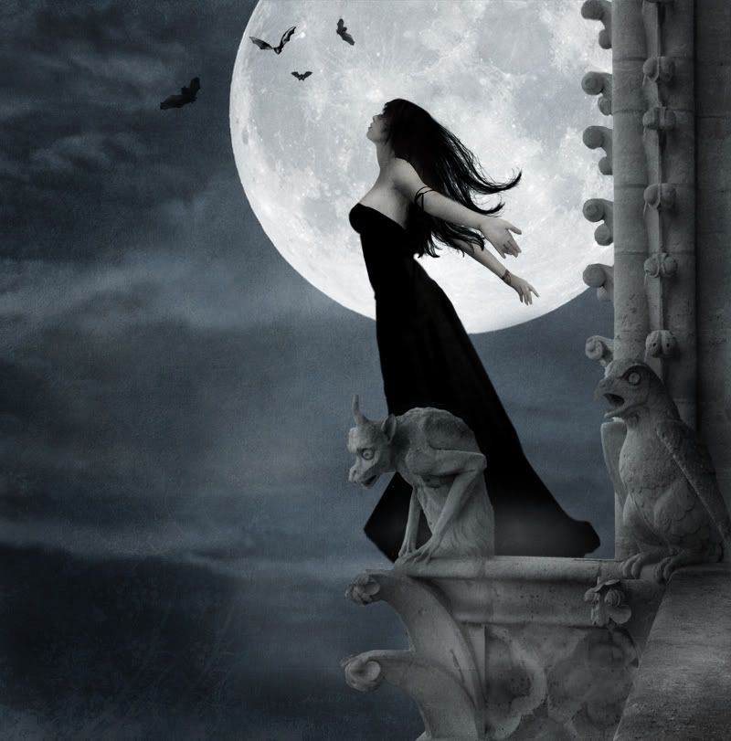 girl stands on ledge under the moon