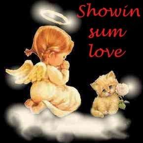 whowin sum love