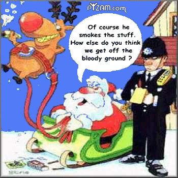 santa's reindeer gets ticket for smoking weed