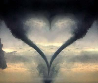 storm heart