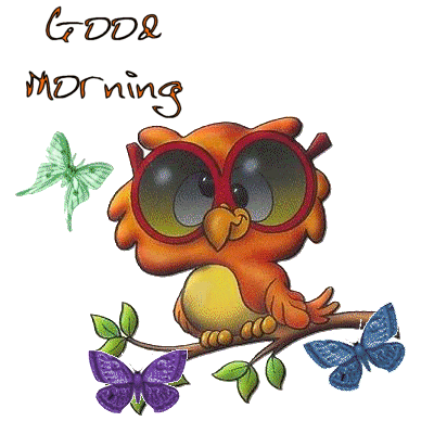 good morning owl
