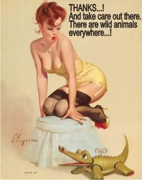 thanks and take care out there.  There are wild animals everywhere sexy pinup