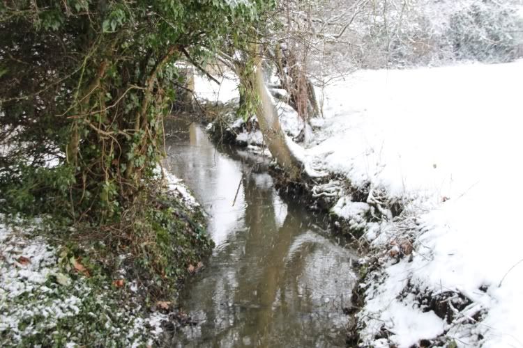 Pinner Park,London,Stream,Snow Day