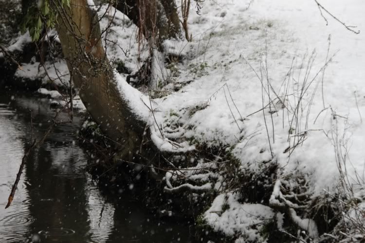 Pinner Park,London,Stream,Snow Day