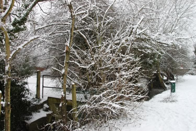 Pinner Park,London,Stream,Snow Day