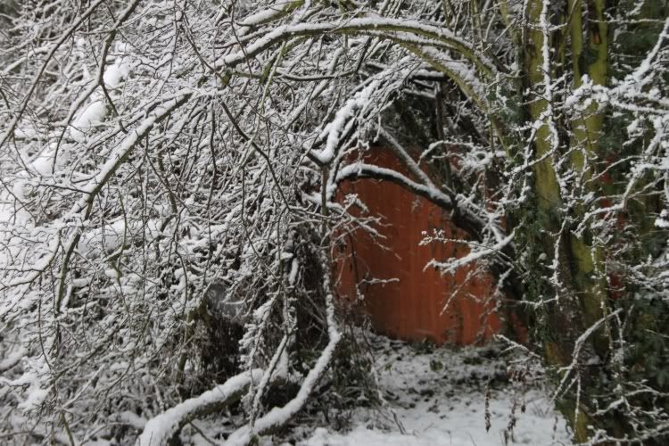 Trees,Snow Day,London