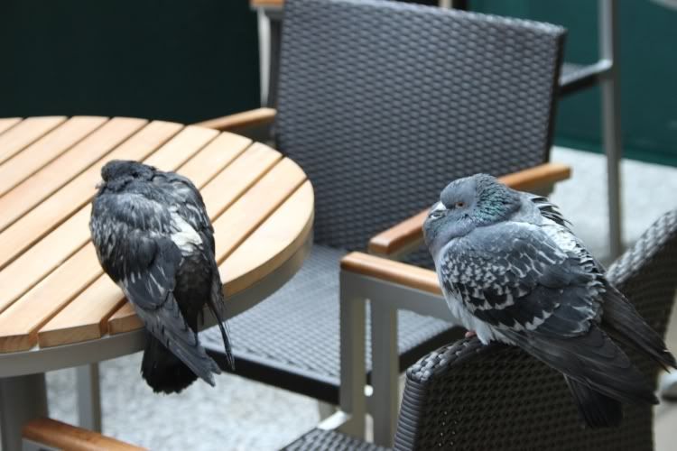 Hays Galleria,London