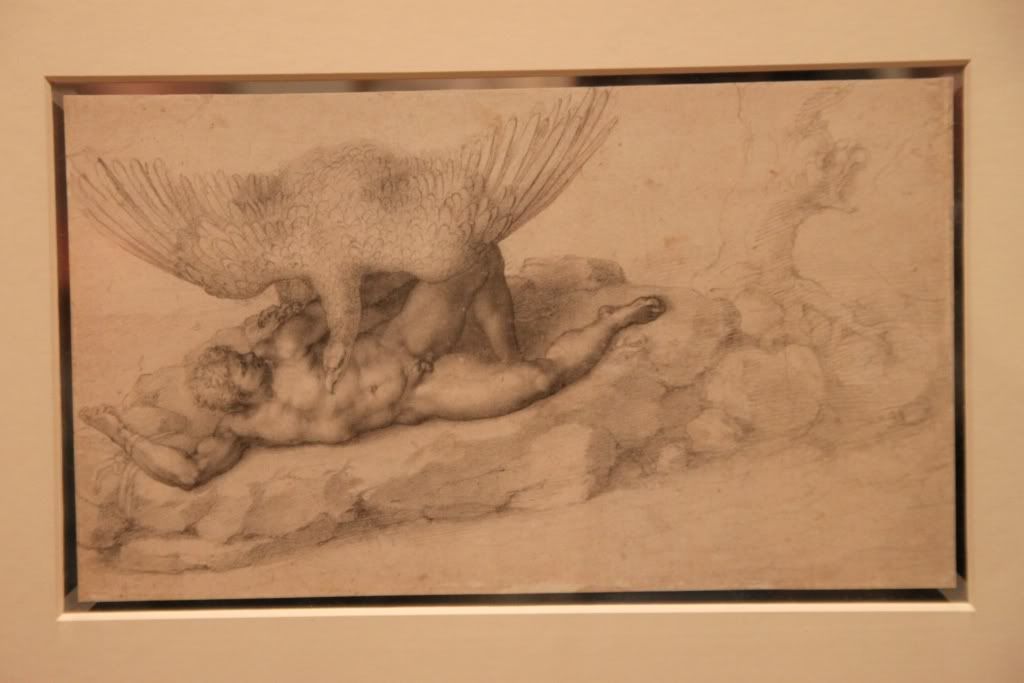 Michaelangelo,Courtland Gallery,Pencil Drawings,Bible,History