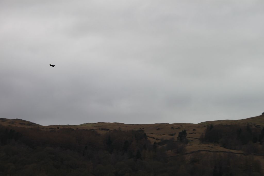 Dove Cottage,Wordsworth,Lake District