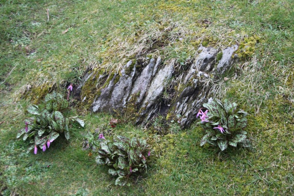 Dove Cottage,Wordsworth,Lake District