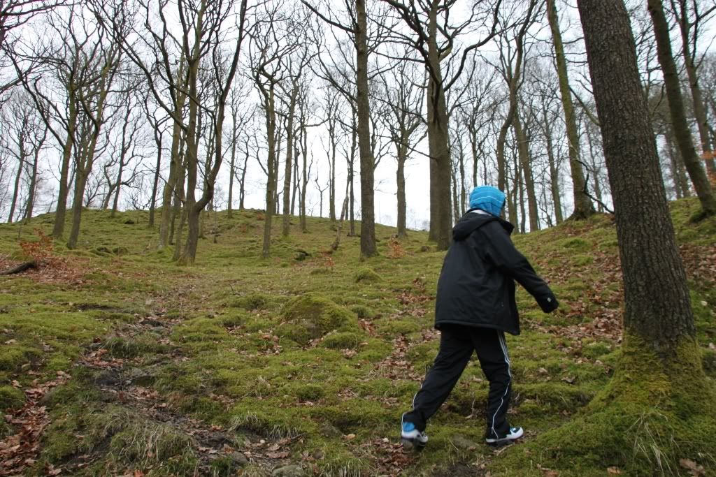 Lake District,Windermere,Grasmere,Trekking