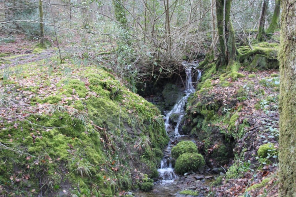 Lake District,Ambleside,Waterfall