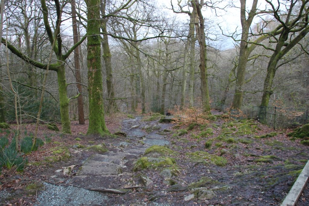 Lake District,Ambleside,Waterfall