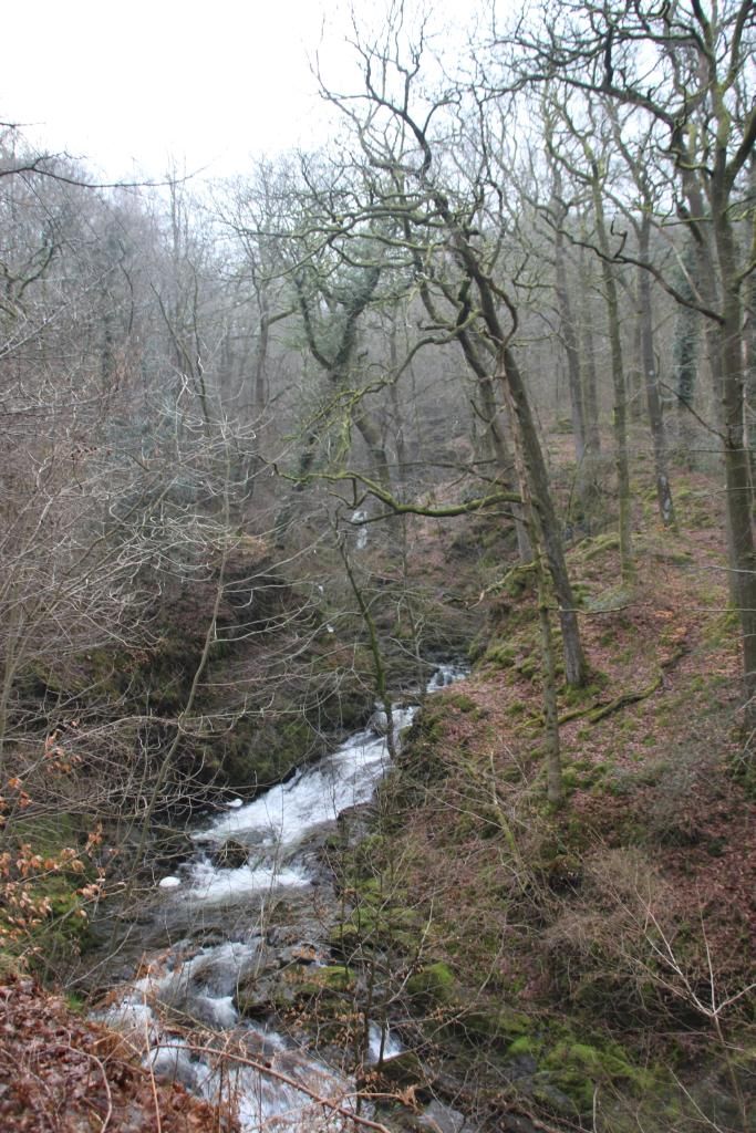 Lake District,Ambleside,Waterfall