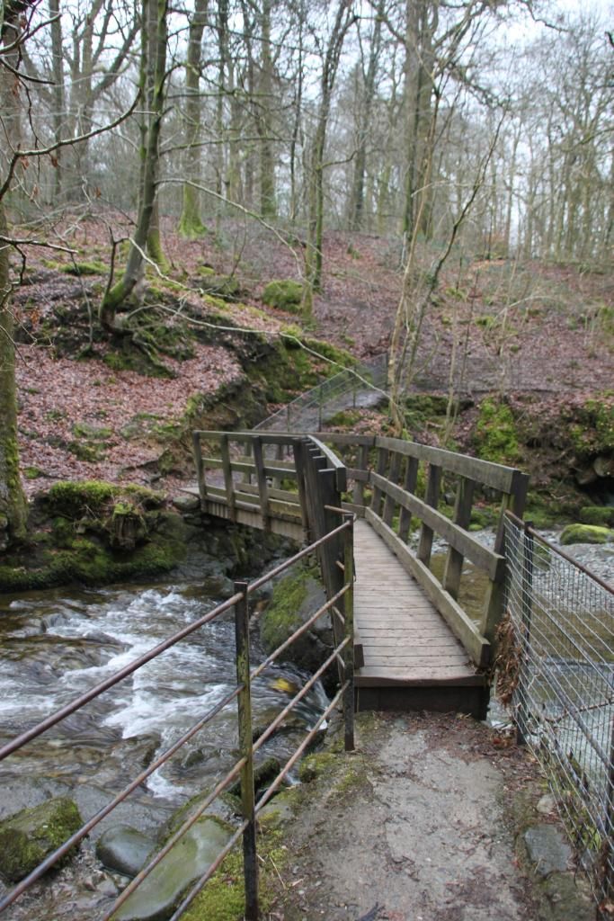 Lake District,Ambleside,Waterfall