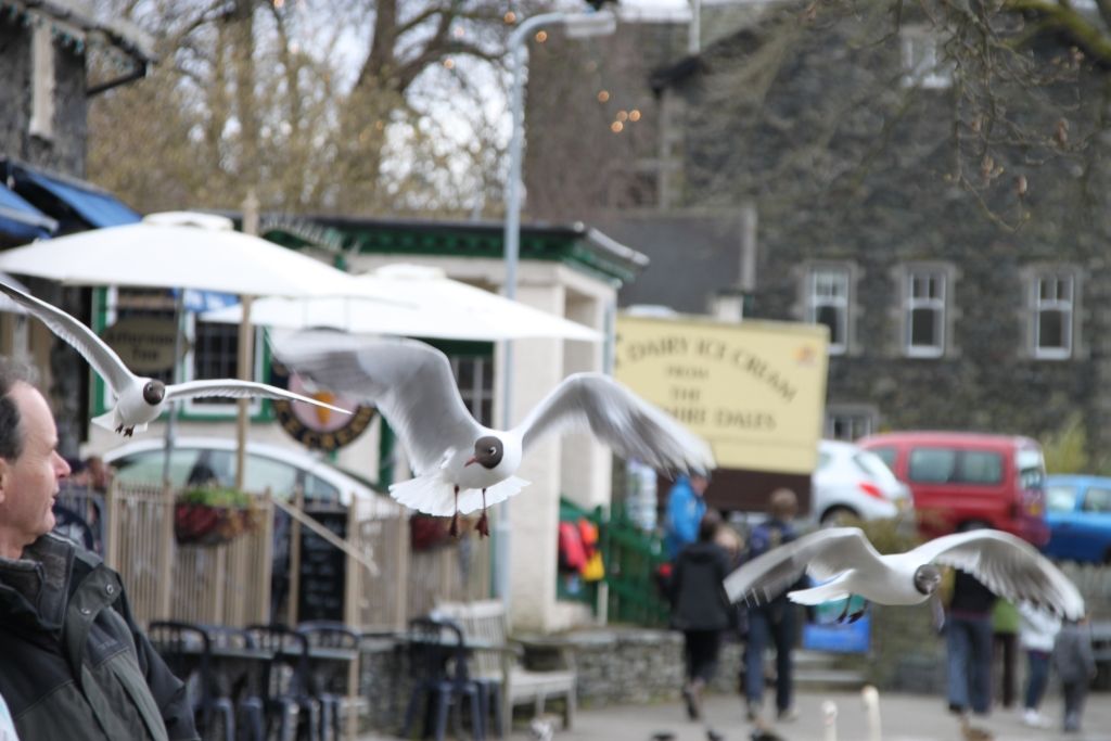 Windermere,Lake District