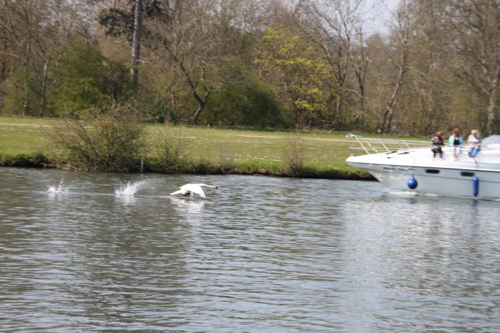 Henley on Thames