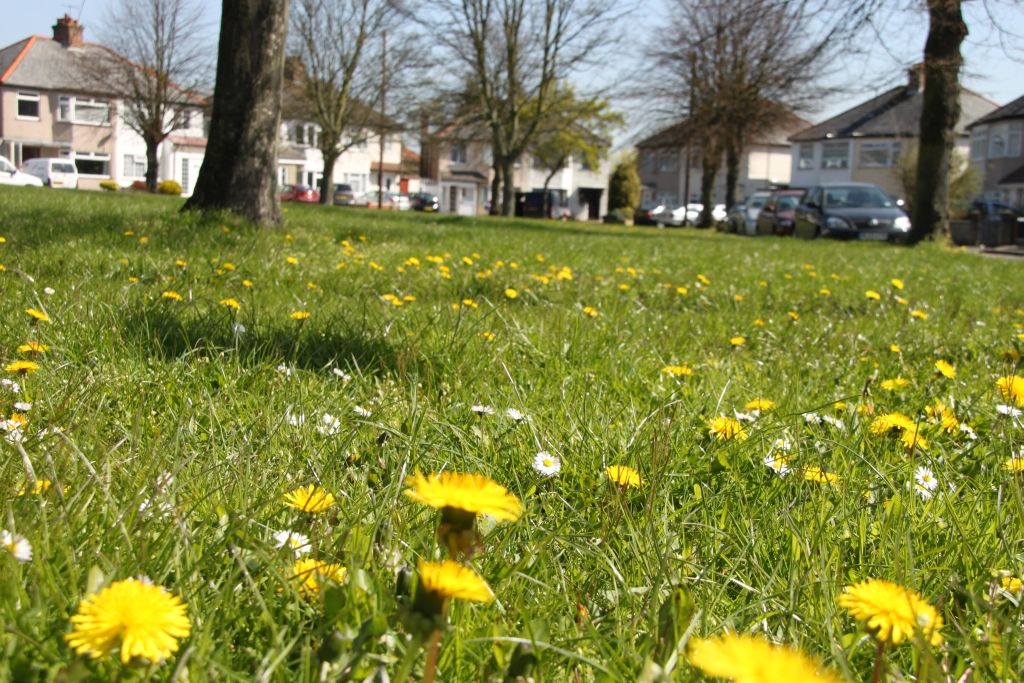 Spring,Garden,Nature