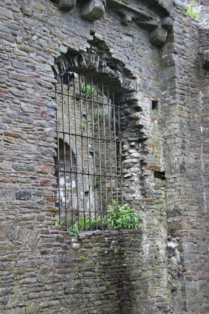 Swansea Castle