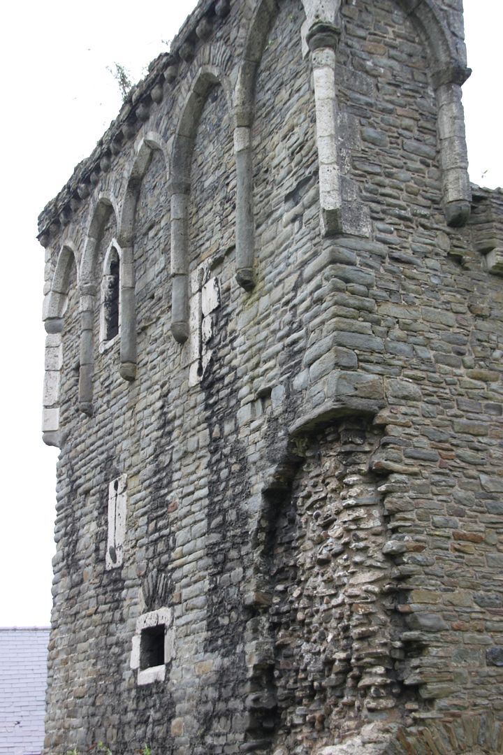 Swansea Castle