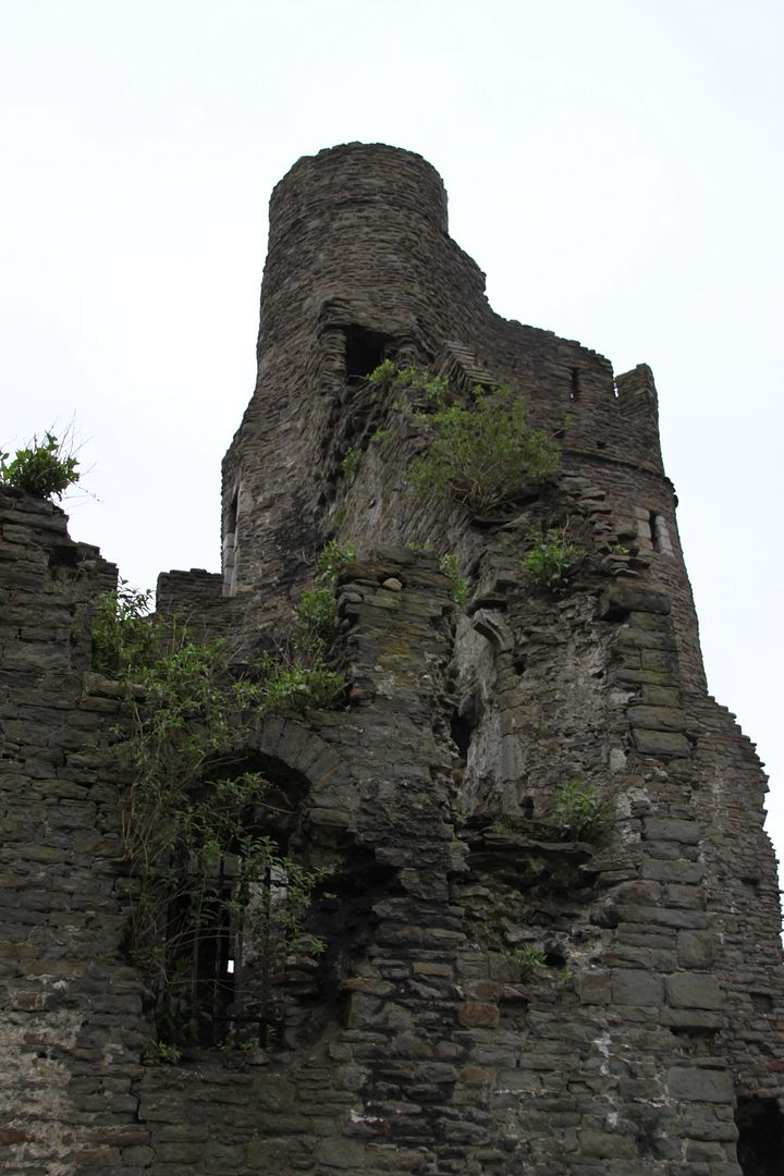 Swansea Castle