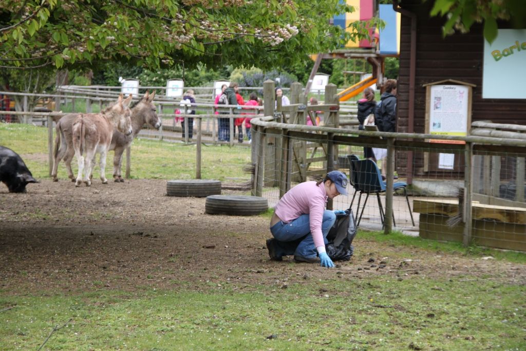 Battersea Park,Zoo