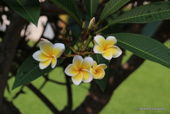 photo IMG_6344_zpseidu5wht.jpg