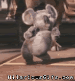 koala dance