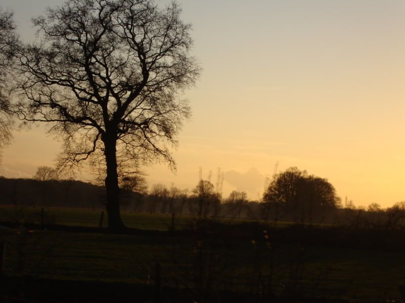 DSC00297.jpg