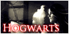 Hogwarts Renovatio